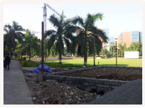 Aakruti Tenso Tensile Roof Construction at University Stadium