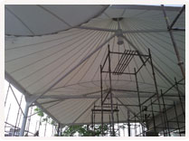 Entry Canopies at Tulip Star Hotel, Lucknow